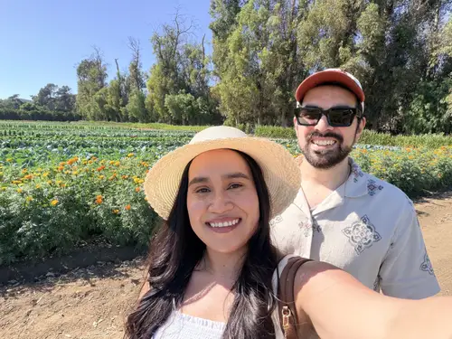 Entre los campos de flores